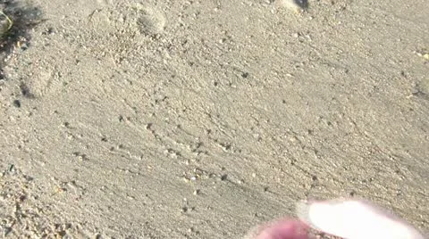 2014 Drawn in Sand Video stock 12570732