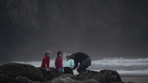 2014 Oregon Coast Vid-068 Stock Footage 40954816