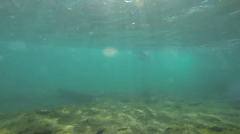 2014 underwater surfer2 库存影片 35786674