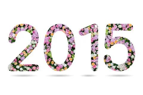 2015 numeric from flower background Illustrazione stock