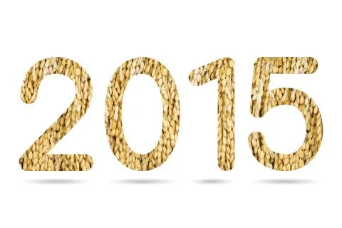 2015 numeric from japanese rice paddy texture Illustrazione stock