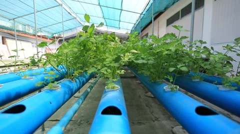 20150306 01 Vídeo Stock 47726353