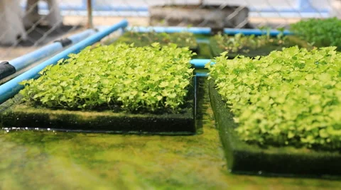 20150306 03 動画素材 47726504