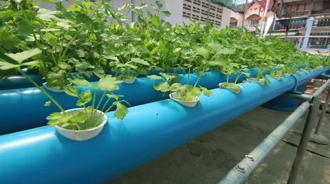 20150306 06 Vidéo 47745135