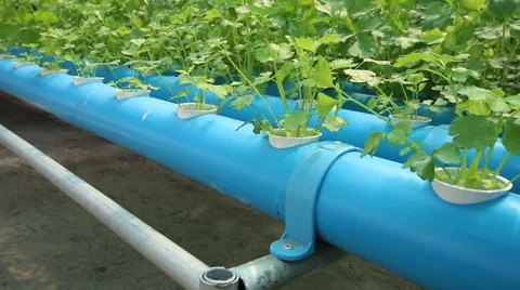 20150306 07 Stock Footage 47732167