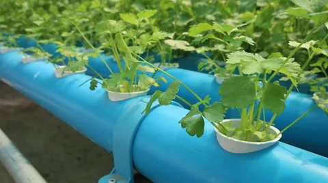 20150306 08 Stock Footage 47743573