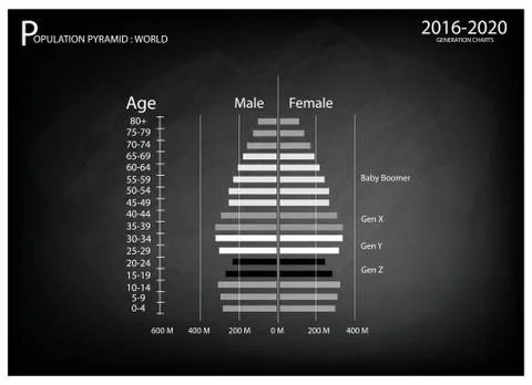 2016-2020 Population Pyramids Graphs with 4 Generation Stock Illustration