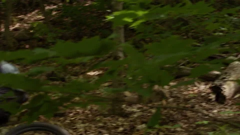 2017 06241507 C067 Stock Footage 157324814