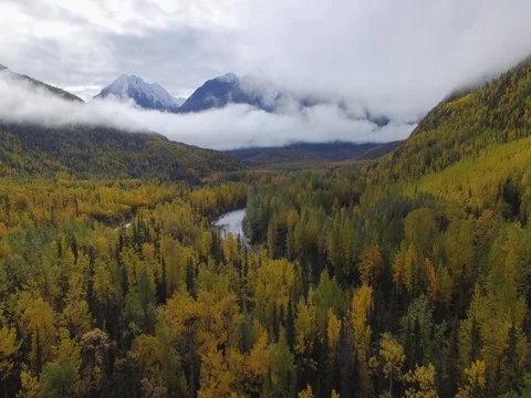 2017-09-16 Fly over autumn forest, river and mountain Stock Footage 80326946