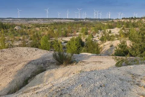 2017, Brandenburg, Germany, inner dump, Nabu, Nabu project, national natural Stock Photos