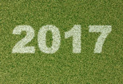 2017 grass font Stock Illustration