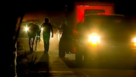 2017 horses are led down a road to safety during the Thomas Fire in Santa Stock-Footage 92170758