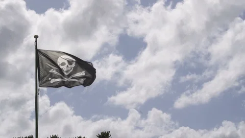 2017 Pirate Flag Stock Footage 104635129