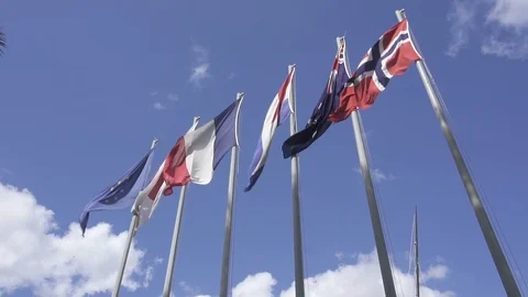 2017 Six Flag 02 SM Stock Footage 104634462