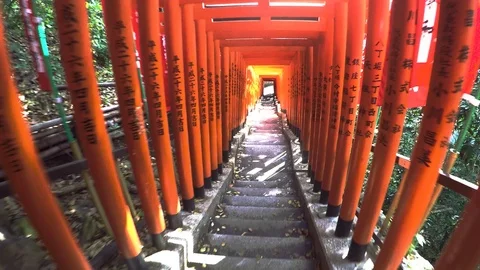 201703 Tokyo torii 스톡 동영상 121033286