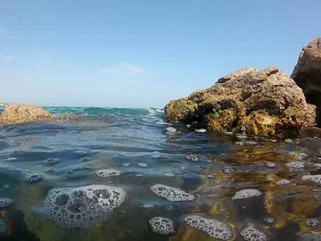 20170828 132504 Stock Footage 85752046