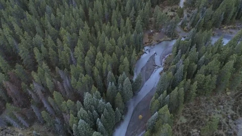 2018-10-05 drone flies low over a river and pines under overcast sky. Stock Footage 103719900
