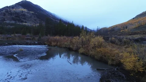 2018-10-05 drone flies low over still beaver pond under overcast sky. Stock Footage 103720040