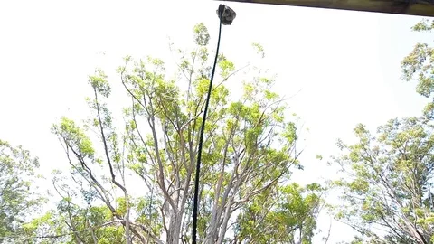 2018 - Basic training in the Marines includes soldiers rappeling and fast rope Video stock 100893963