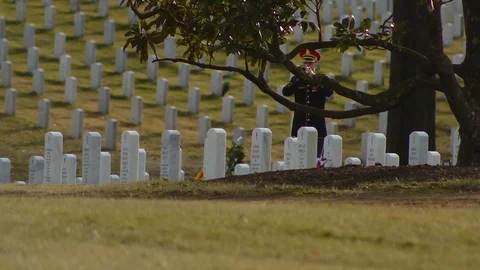 2018 - A bugler plays Taps at Arlington. Stock Footage 92624713