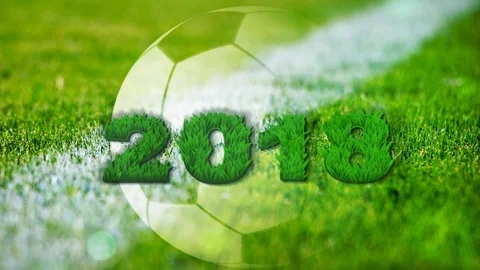 2018 FIFA World Cup Stock Footage 91005658