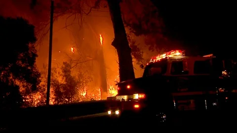 2018 - a forest burns at night during the Holiday Fire in Goleta, California Stock Footage 92170410