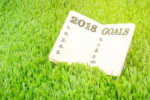 2018 Goals with list on open notebook on green grass and sunshine, Business a Stock Photos