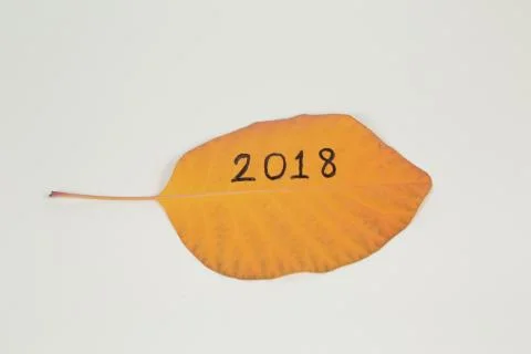 The 2018 on the leaf Stock Photos
