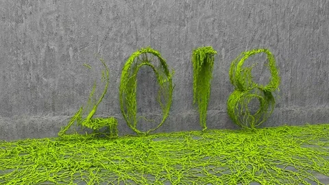 2018 new year Stock Footage 81181464