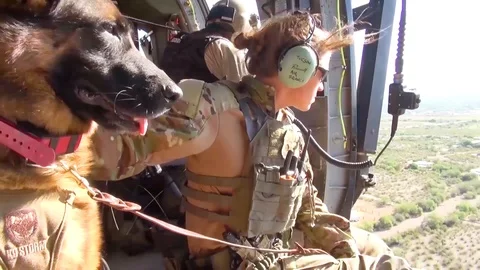 2018 - U.S. Border patrol agents fly over the U.S. Mexico border utilizing a K9 Stock Footage 101032531