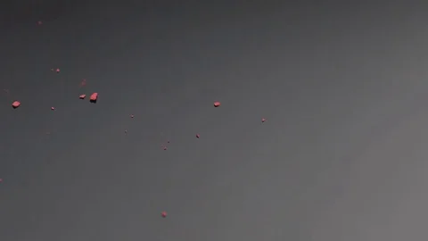 20181128 blushes 22 動画素材 102089048