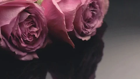 20181128 roses 14 스톡 동영상 102583952