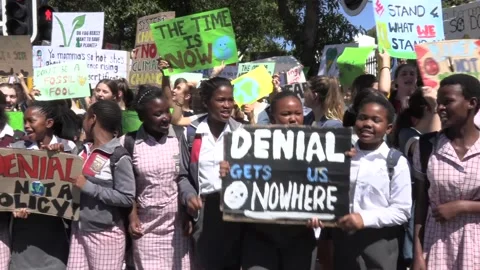 2019 Climate Strike Protest at South Africa's parliament Video stock 138396912