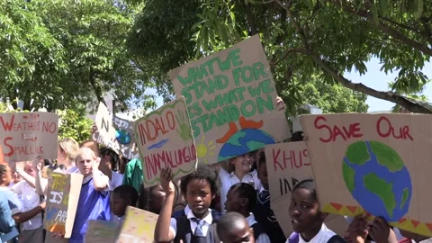 2019 Climate Strike Protest at South Africa's parliament Video stock 138397154