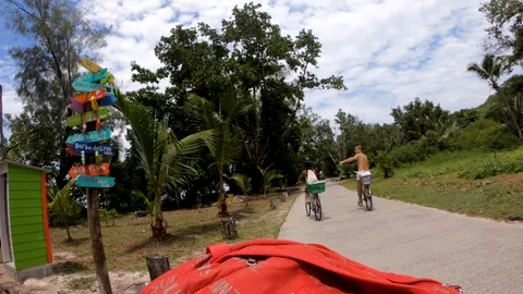 2019 Stock Footage 101975166