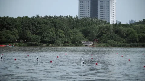 2019 Jun 10, Jiaxing. Distant rowers on lake course by urban park Vídeos de archivo 338278734