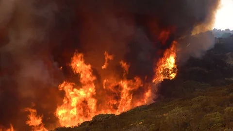 2019 - A massive fast moving wildifre burns as a huge brush fire on the Stock Footage 120930687