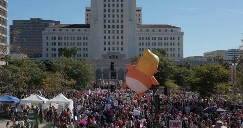 2019 Women’s March Stock Footage 101483109