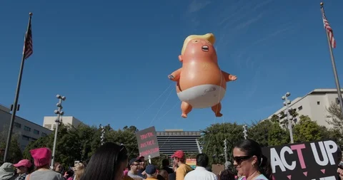2019 Women’s March Stock Footage 101484631