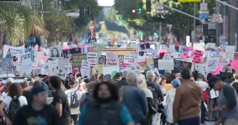 2019 Women’s March Stock Footage 101511636