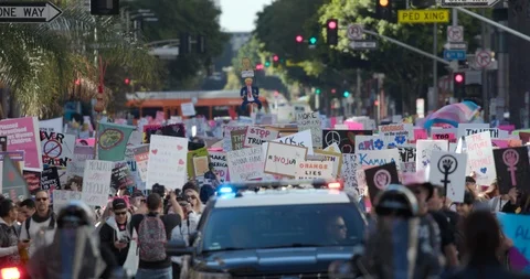 2019 Women’s March Stock Footage 101519879