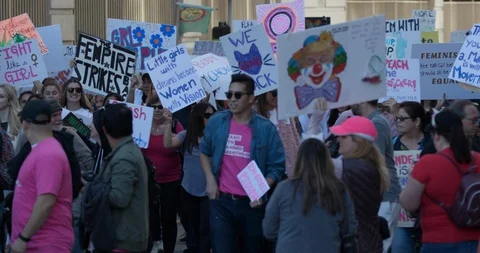 2019 Women’s March Stock Footage 101520970