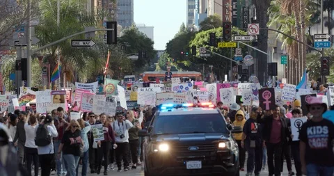 2019 Women’s March Stock Footage 101521915
