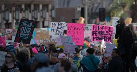 2019 Women’s March Stock Footage 101526959