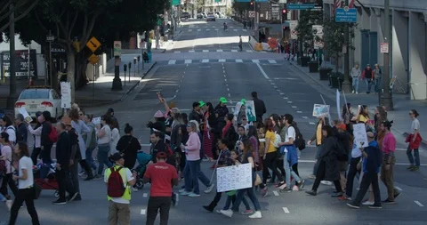 2019 Women’s March Stock Footage 101539929