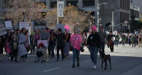 2019 Women’s March Stock Footage 101547186