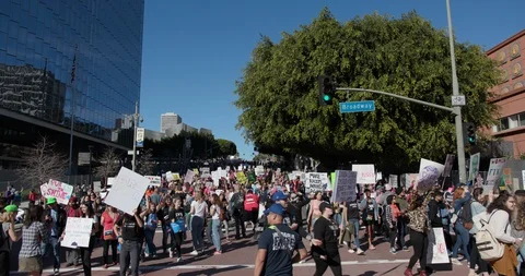 2019 Women’s March Stock Footage 101572254