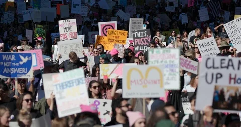 2019 Women’s March Stock Footage 101582458