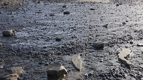 2020-02-17 EOS 6D Mark II 3062 Stock Footage 125698357