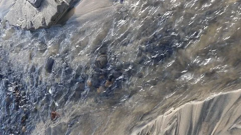 2020-02-17 EOS 6D Mark II 3063 Stock Footage 125698358